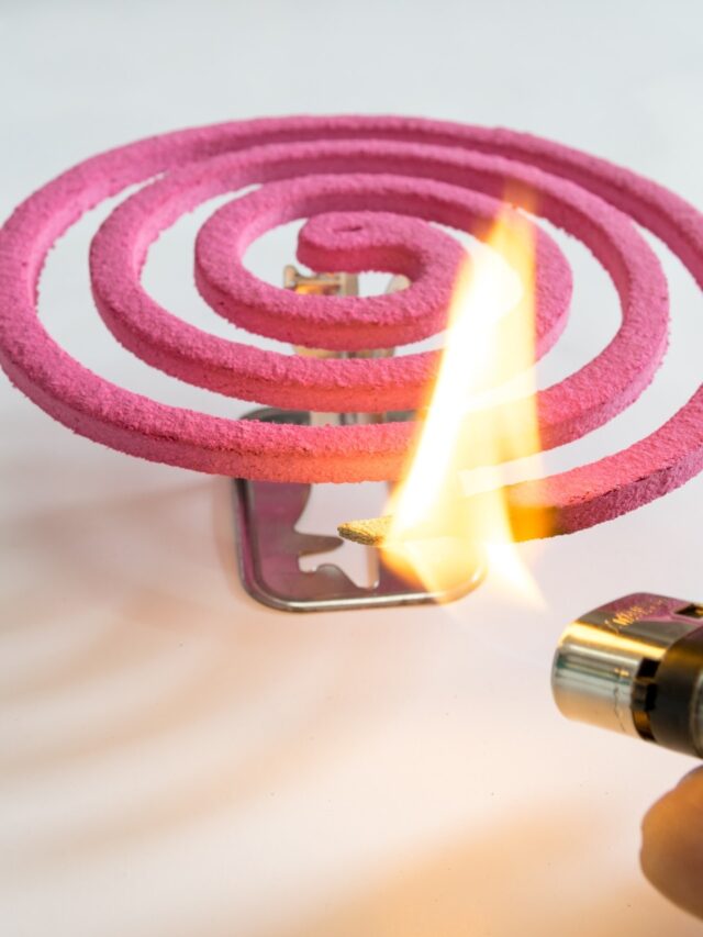 Mosquito repellents and respiratory health: What you need to know5 mins ago