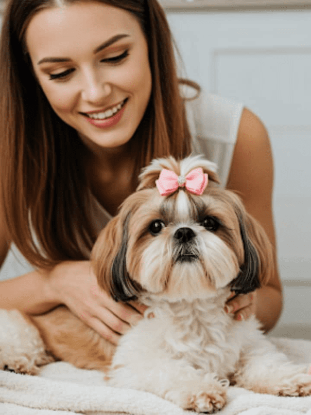 7 Easy Ways To Give Your Pet The VIP Treatment At Home