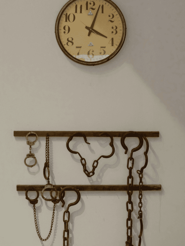 Timeless Charm: Best Retro Decor Pieces to Elevate Your Space