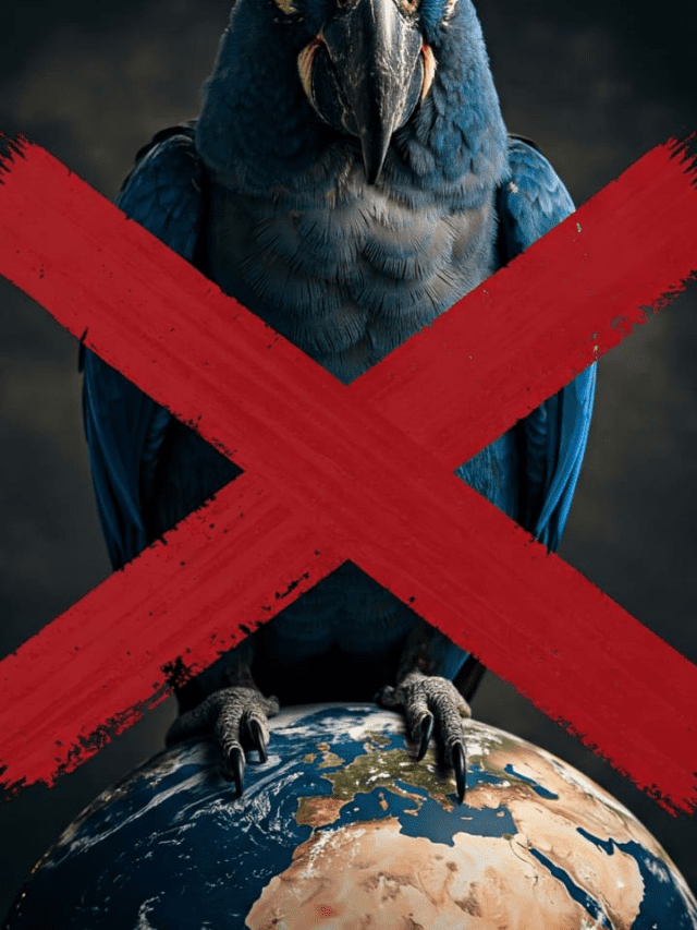 7 Parrot Species Banned From Pet Ownership Worldwide