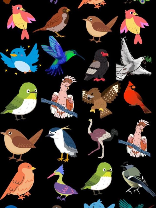 Optical Illusion Challenge: Spot The Bird That Can’t Fly