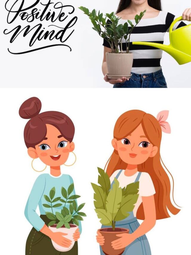 8 Plants You Can Keep At Home For Good Luck And Positive Vibe