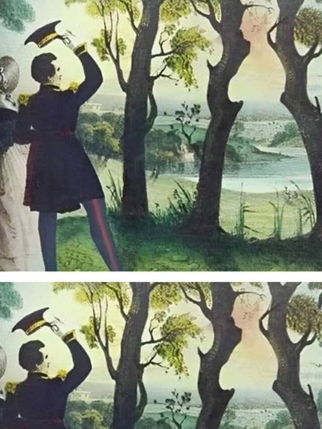 Optical Illusion: You Are A Genius, If You Spot A Woman In 1 Sec!