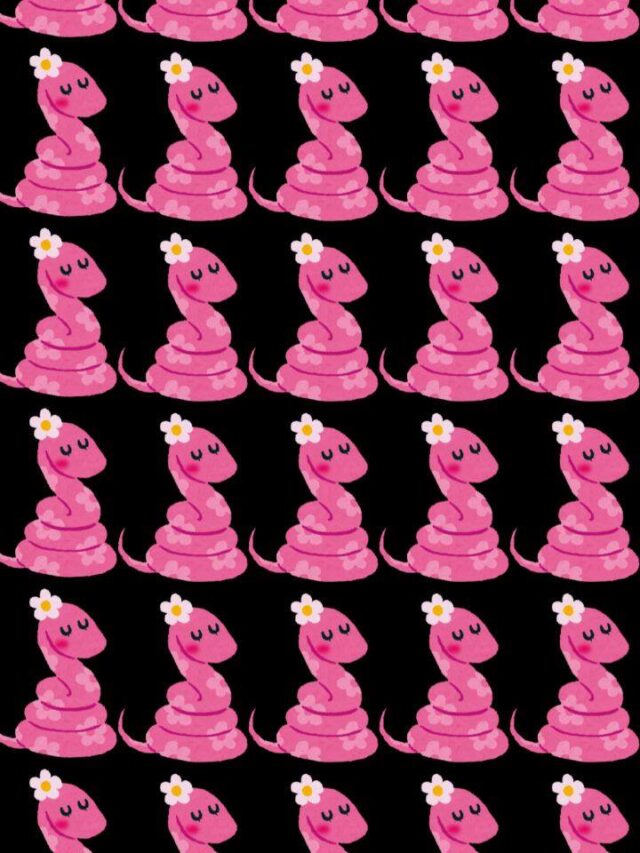 Optical Illusion: Can You Spot The Odd Snake In The Lineup?
