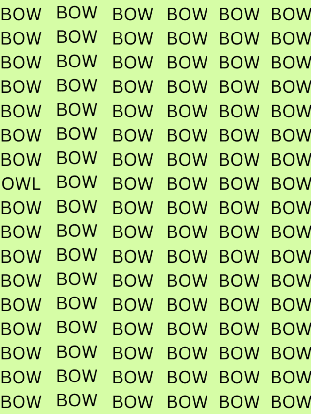 Spot The Hidden ‘OWL’ – You Have Just 5 Seconds