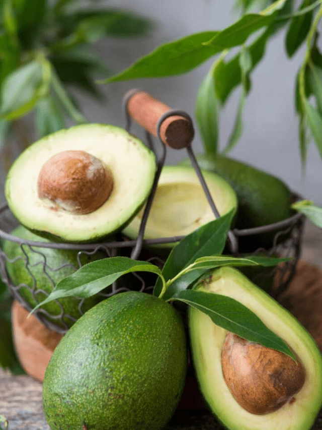 Avocado: The Creamy Superfood With Amazing Benefits