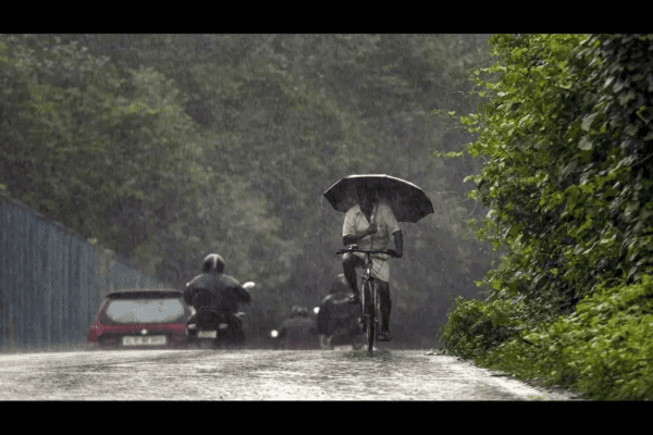 Kerala Rains: Gusty winds, heavy showers disrupt life; trains delayed, red alert issued, IMD warns of more rain till June 1