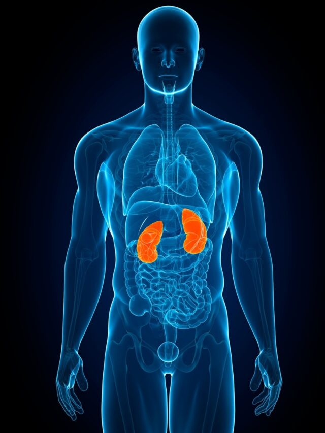 Simple habits to keep your kidney healthy50 mins ago