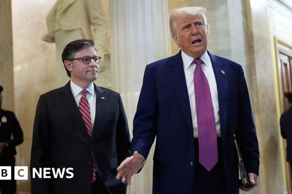 US House passes Trump’s ‘big, beautiful’ tax and spending bill