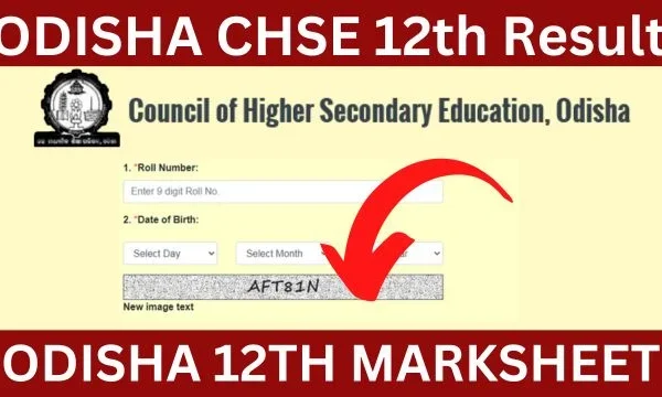 CHSE Odisha +2 Result 2025 OUT NOW! Check Your Odisha 12th Scores Instantly at Official Portals