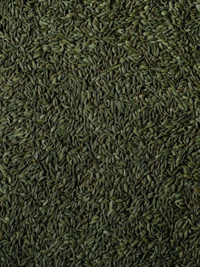 8 surprising health benefits of fennel seeds19 hours ago