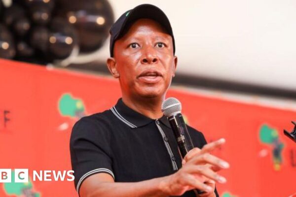 South Africa’s Julius Malema hits out after not getting UK visa
