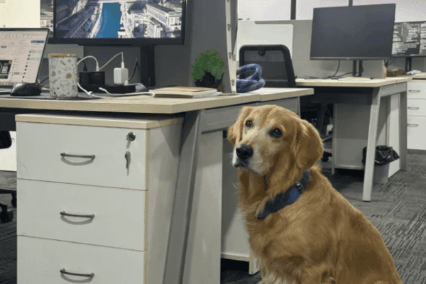 Meet Denver Pawlson, the Chief Happiness Officer of this robotics start-up