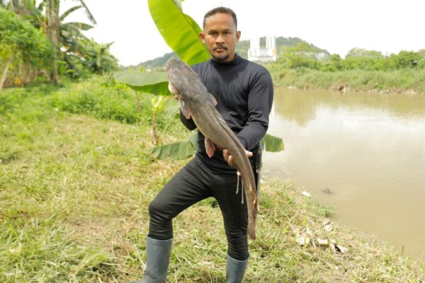 Malaysia’s ‘fish hunters’ target invasive species, one catch at a time | Environment News