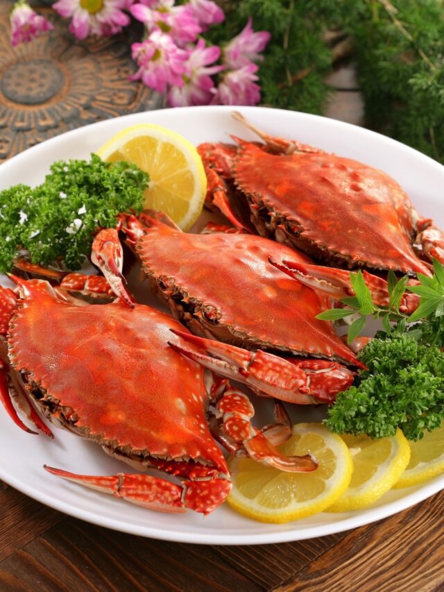 From Pav Bhaji to seafood feasts: The food that defines Mumbai23 hours ago