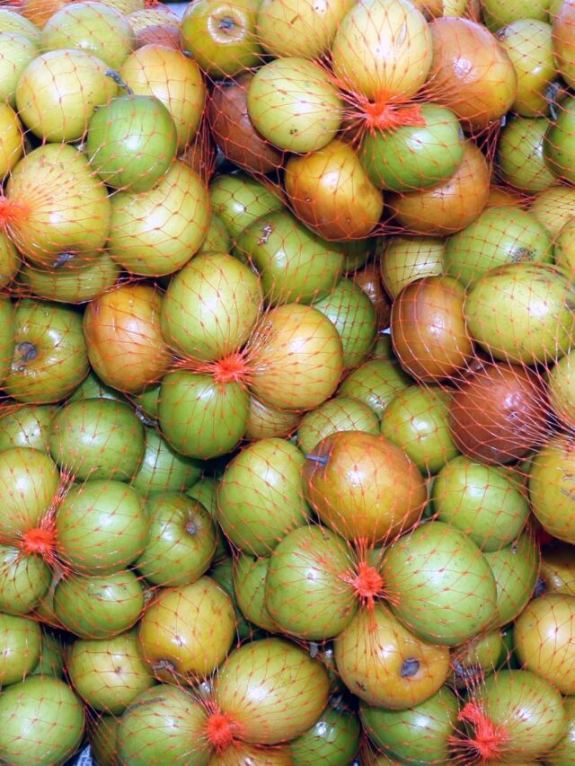 Ber vs jamun: Which summer fruit should you choose?9 hours ago