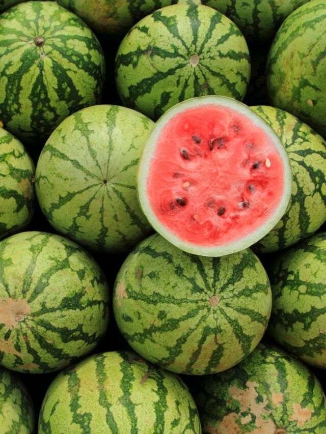 Avoid getting fooled: Real tips to choose the best watermelon5 hours ago