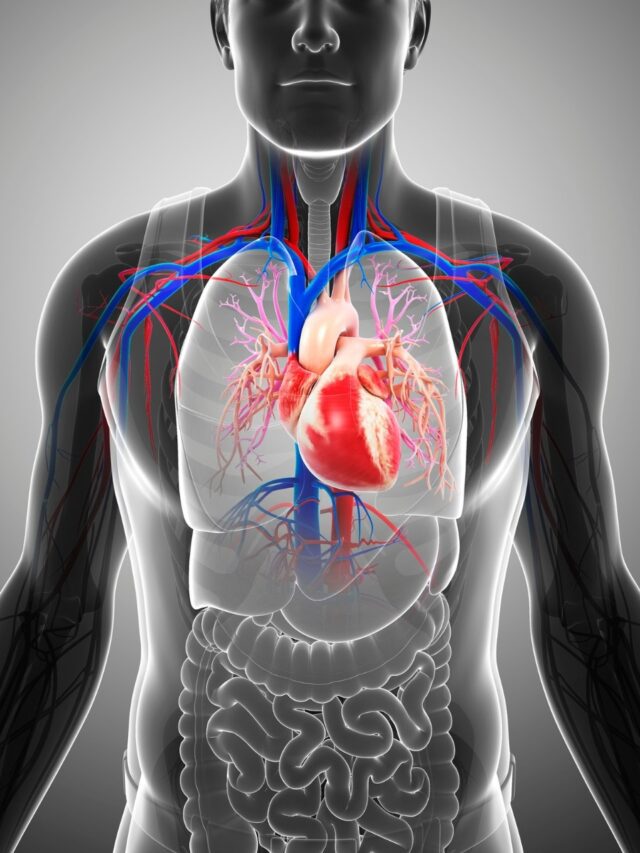 Why daily walnuts can boost heart, brain & weight health1 day ago