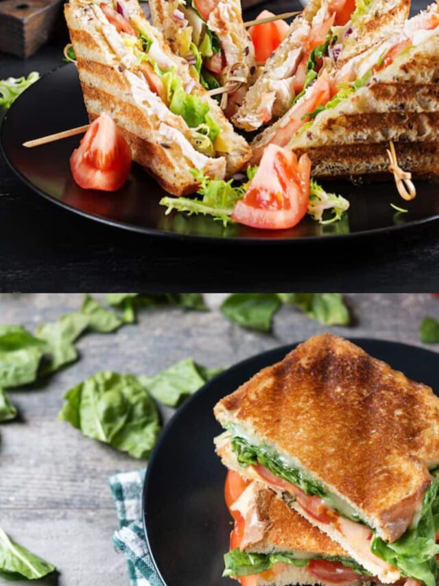 7 Delicious Sandwich Recipes You Must Try