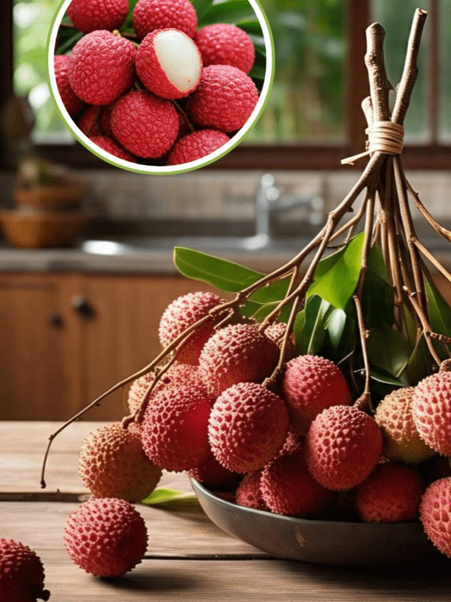 How To Store Litchi's Right: 7 Freshness Hacks