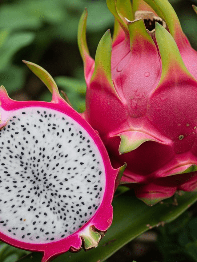 Dragon Fruit: 7 Health Facts You Can't Miss