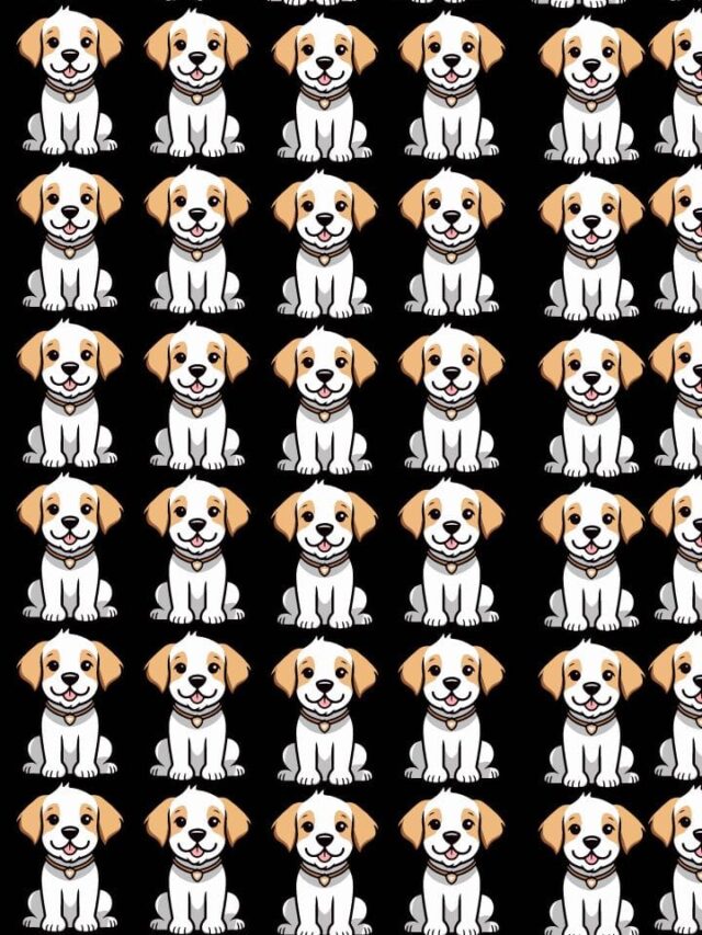 Optical Illusion: Can You Spot The Unique Puppy Among the Group?