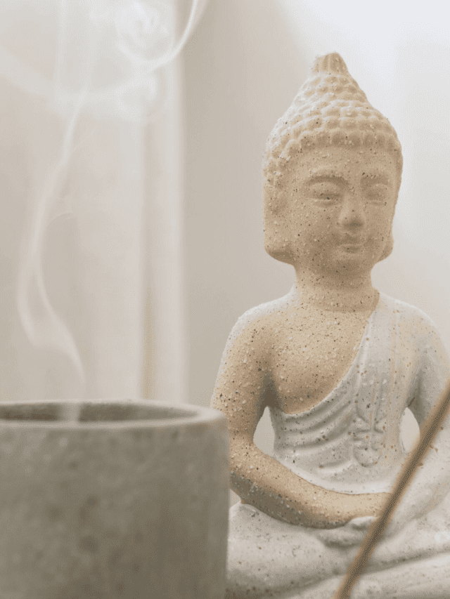 Artistic & Aesthetic: Must-Have Decorative Items for Modern Homes