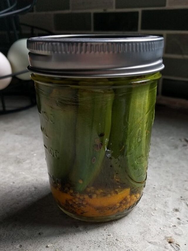 Why okra water is a smart health choice in your 40s5 hours ago