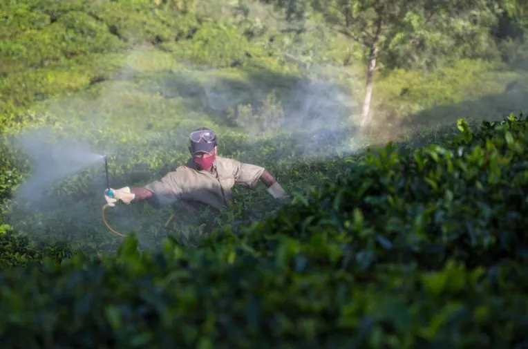 pesticide