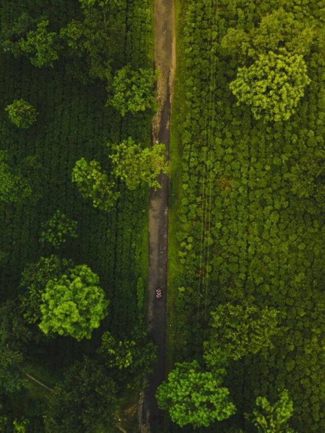 5 key facts about World Environment Day 20252 mins ago