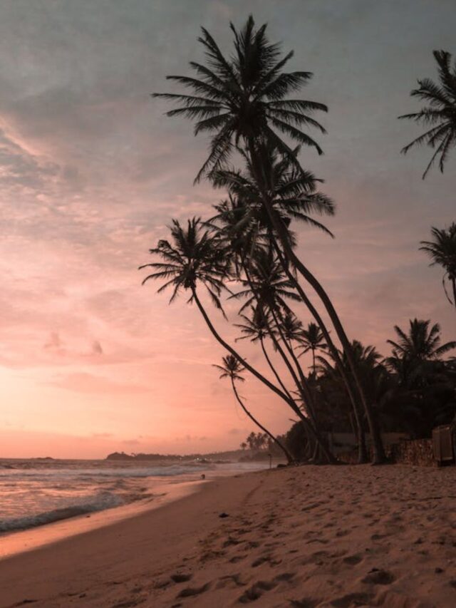 Key efforts and support initiatives for cleaning ocean bodies on June 8th39 mins ago