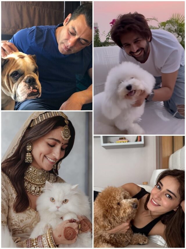9 Bollywood celebs and their adorable pets15 mins ago