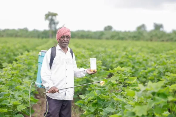 Thiamethoxam 25% WG (Actara) – A Systemic Insecticide for Effective Pest Control Actara