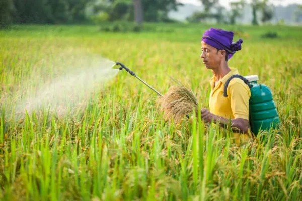 Imidacloprid 20% SL (Confidor) – The Gold Standard in Systemic Insect Control and Dealer Confidor