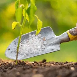 Chlorpyrifos 50%