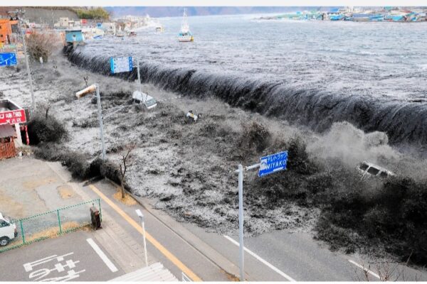 The Pacific Roars: Assessing Today’s Tsunami Event and the Imperative of Preparedness